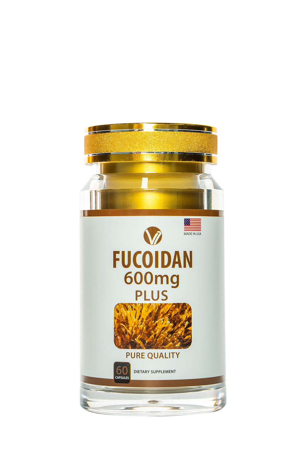 Fucoidan - Hình ảnh 3