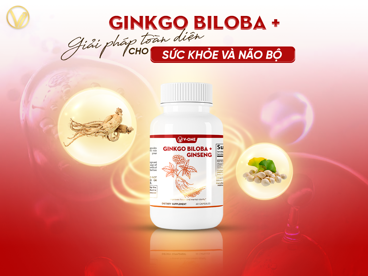 Công dụng của nhân sâm bạch quả – GINKGO BILOBA GINSENG